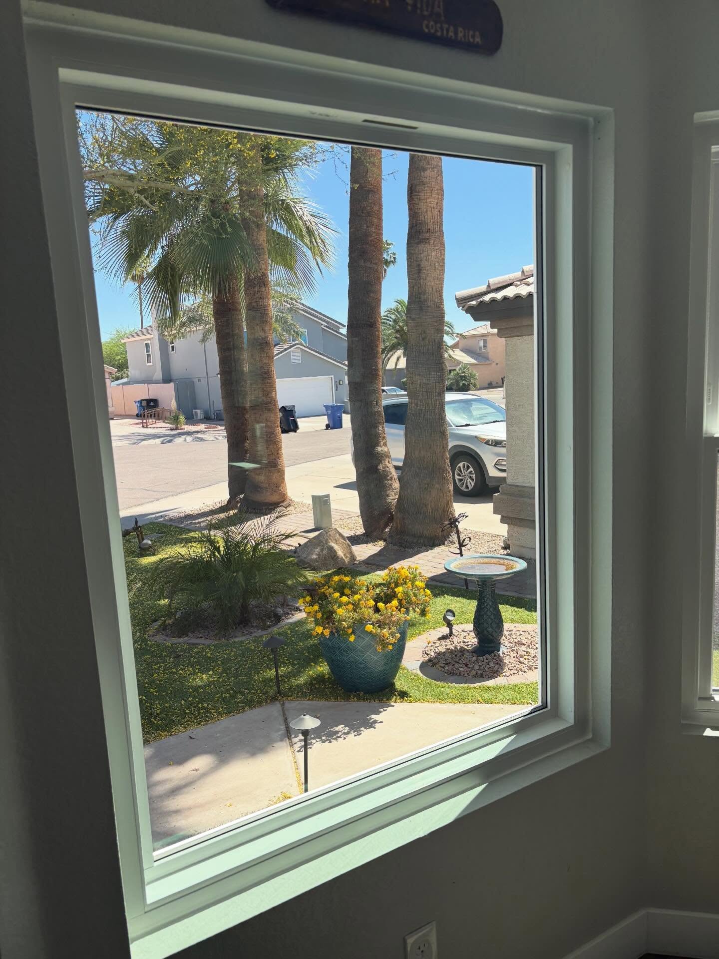 Window Replacements