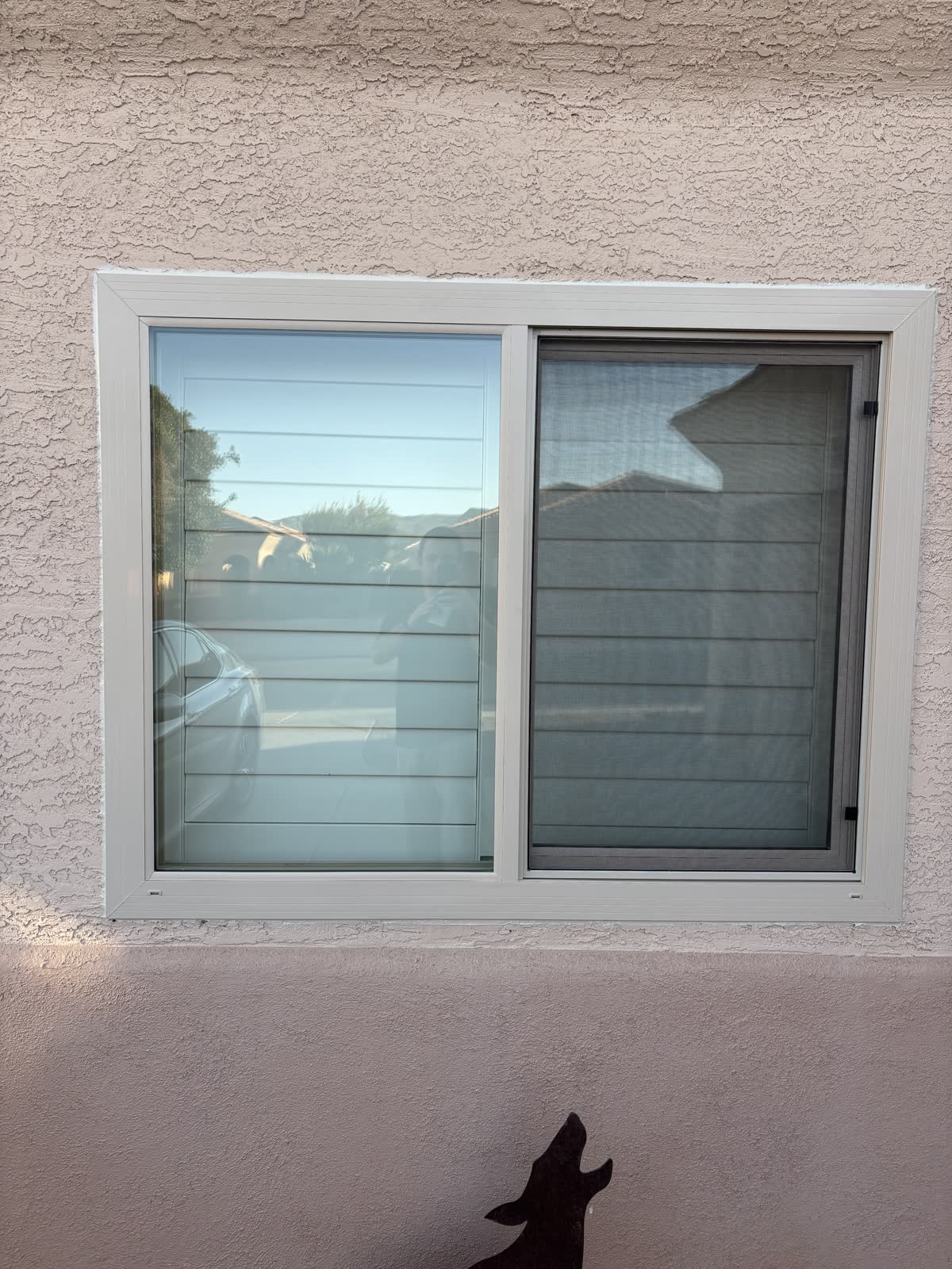 Almond Windows Installation