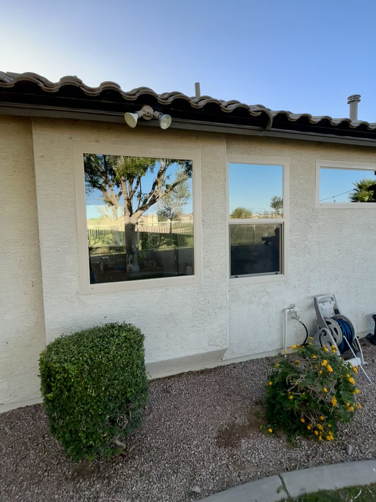 Almond Windows Installation