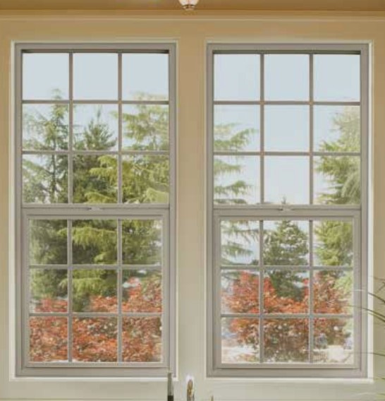 single hung windows